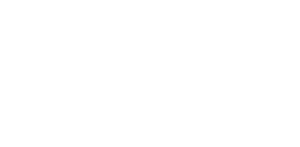 TF Web Solutions Logo White